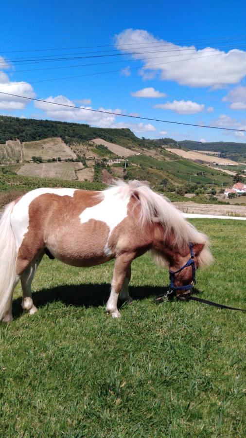 Casinha De Ferias No Campo - Quintinha Dos Cavalos - Arruda Dos Vinhos Sabugos Εξωτερικό φωτογραφία