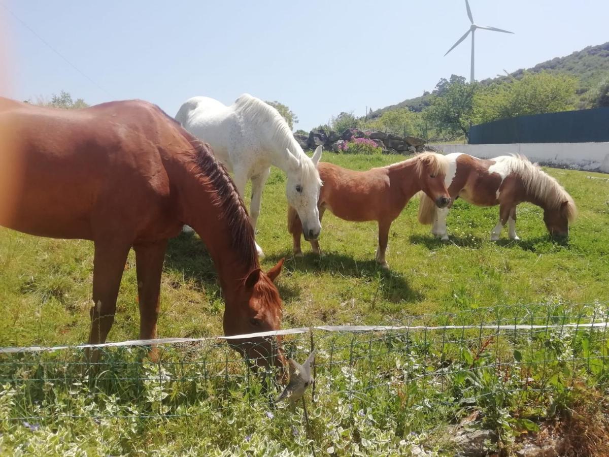 Casinha De Ferias No Campo - Quintinha Dos Cavalos - Arruda Dos Vinhos Sabugos Εξωτερικό φωτογραφία
