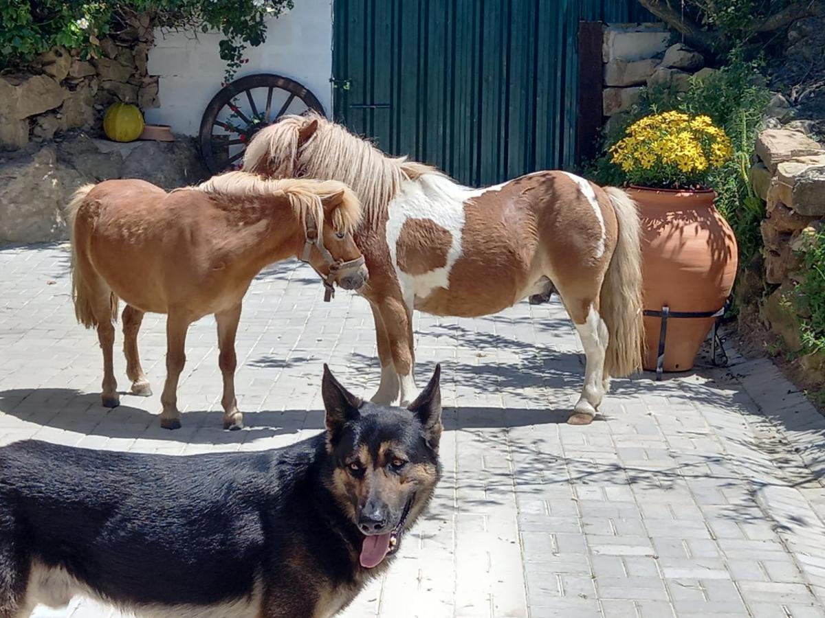 Casinha De Ferias No Campo - Quintinha Dos Cavalos - Arruda Dos Vinhos Sabugos Εξωτερικό φωτογραφία