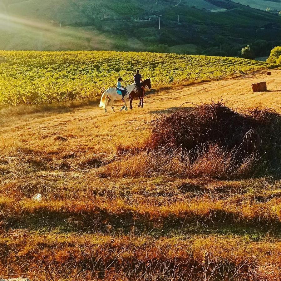 Casinha De Ferias No Campo - Quintinha Dos Cavalos - Arruda Dos Vinhos Sabugos Εξωτερικό φωτογραφία