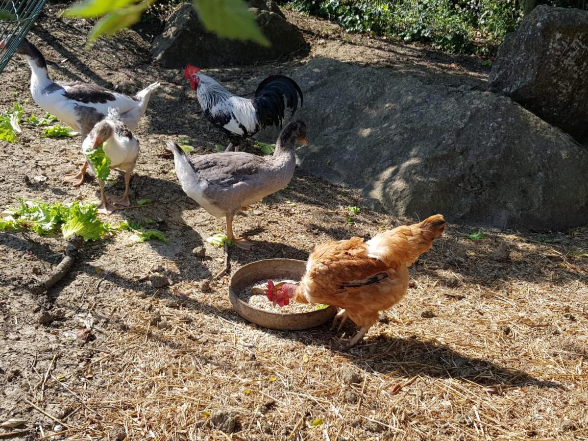 Casinha De Ferias No Campo - Quintinha Dos Cavalos - Arruda Dos Vinhos Sabugos Εξωτερικό φωτογραφία