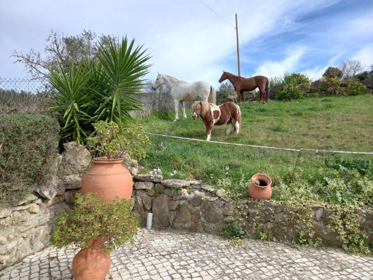 Casinha De Ferias No Campo - Quintinha Dos Cavalos - Arruda Dos Vinhos Sabugos Εξωτερικό φωτογραφία