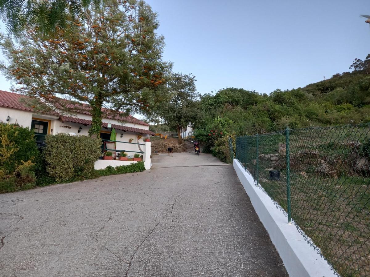 Casinha De Ferias No Campo - Quintinha Dos Cavalos - Arruda Dos Vinhos Sabugos Εξωτερικό φωτογραφία